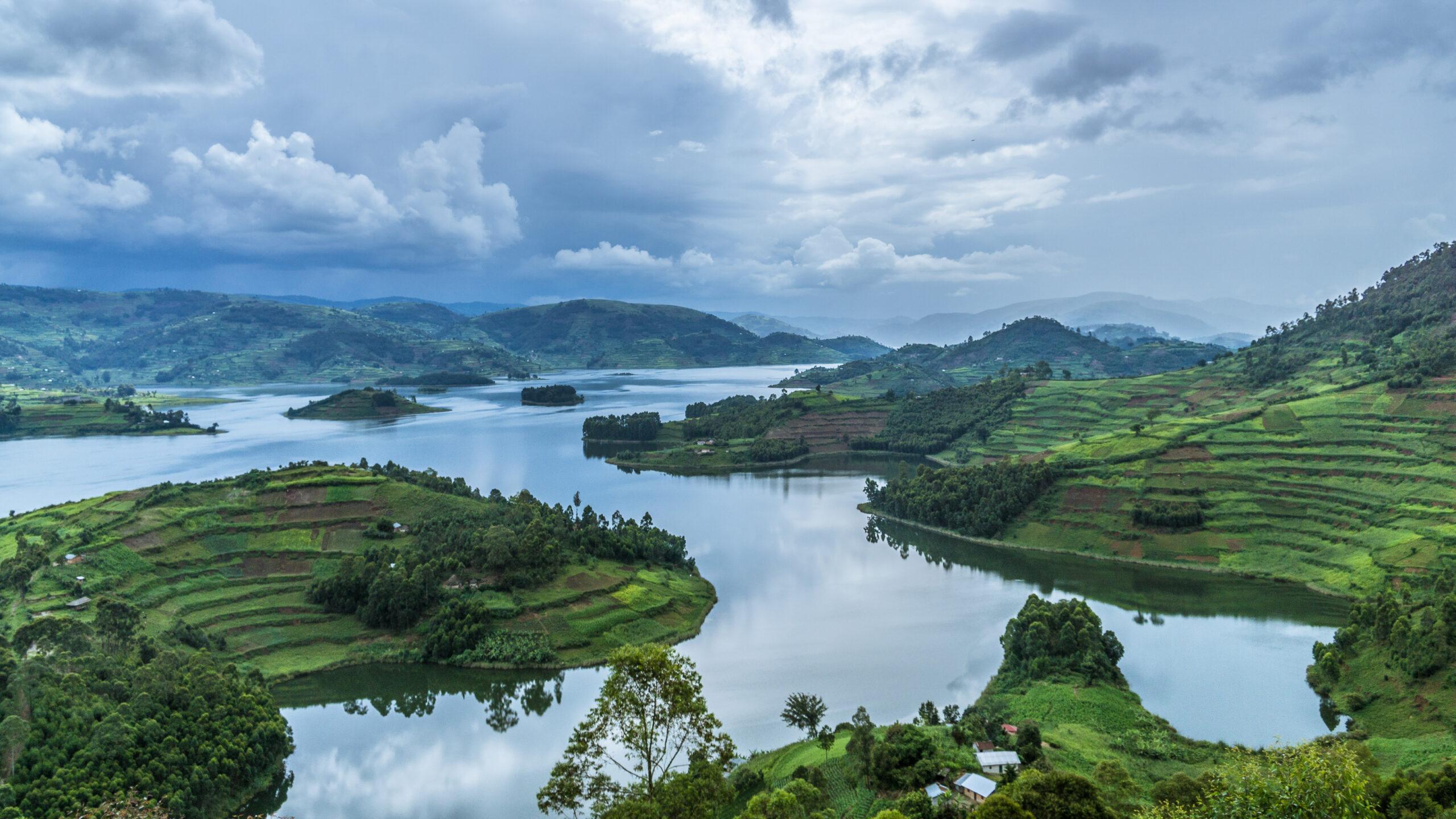 9-day gorilla and wildlife luxury safari
